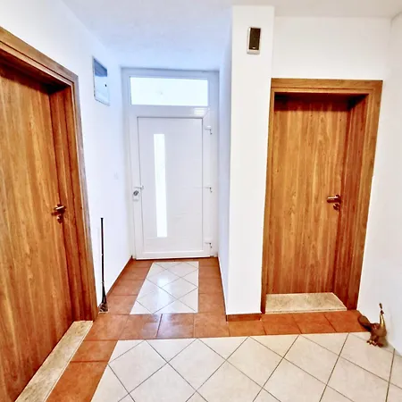 Biograci * Široki Brijeg