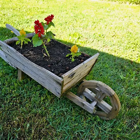 Biograci * Široki Brijeg