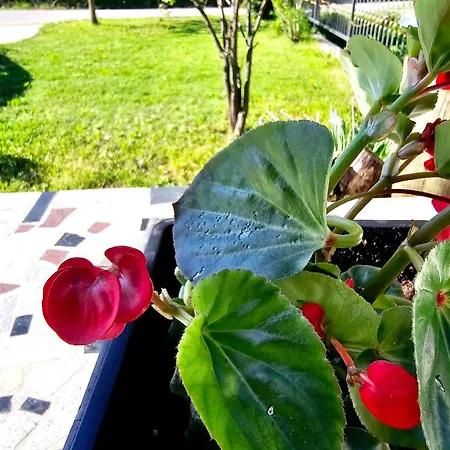 빌라 Biograci Široki Brijeg