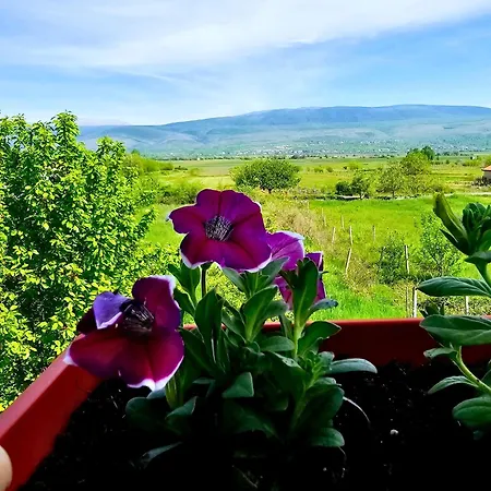 Biograci 别墅 Široki Brijeg