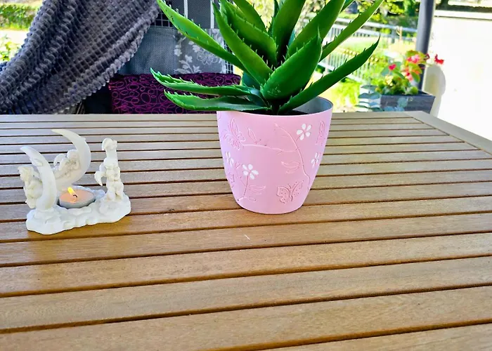 Biograci * Široki Brijeg