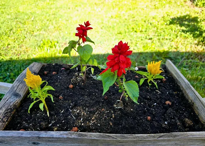 Villa Biograci Široki Brijeg