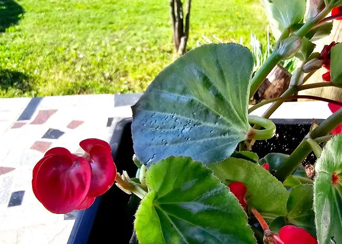 Villa Biograci Široki Brijeg